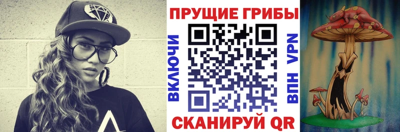 MEGA сайт  Катав-Ивановск  Галлюциногенные грибы мицелий  как найти наркотики 